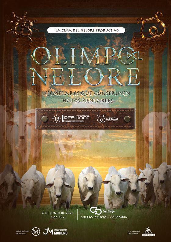 Olimpo del Nelore