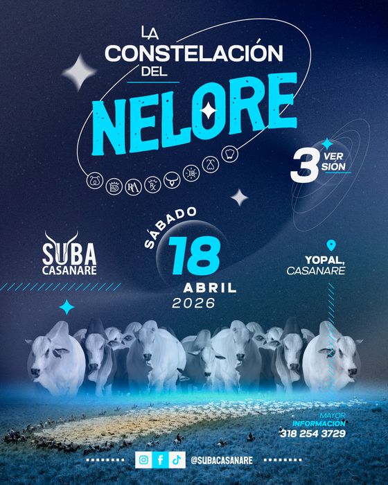 La Constelación del Nelore