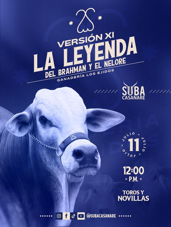 La Leyenda — Versión XI