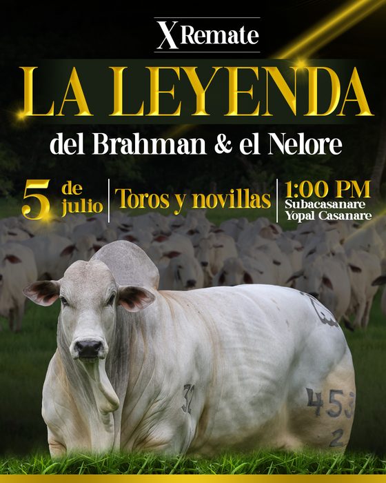 La Leyenda — X Remate del Brahman y el Nelore