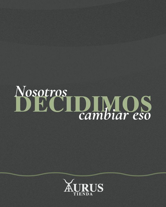 Taurus Tienda — Slide 4